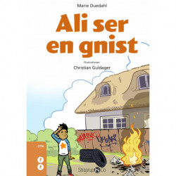 Ali ser en gnist