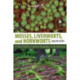 Mosses, Liverworts, and Hornworts: A Field Guide to the Common Bryophytes of the Northeast