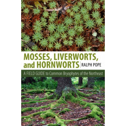 Mosses, Liverworts, and Hornworts: A Field Guide to the Common Bryophytes of the Northeast