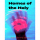 Homes of the Holy (what to do?)