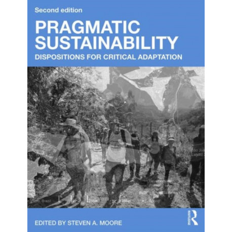 Pragmatic Sustainability: Dispositions for Critical Adaptation