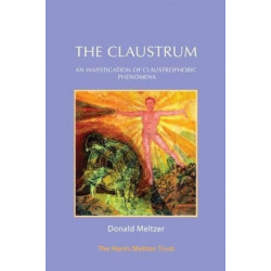 The Claustrum: An investigation of claustrophobic phenomena