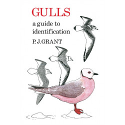 Gulls: A Guide to Identification. 2nd Edition