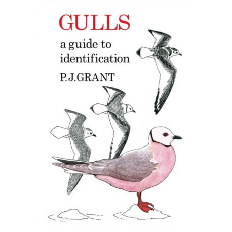 Gulls: A Guide to Identification. 2nd Edition