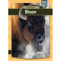 Bison