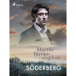 Martin Bircks Ungdom