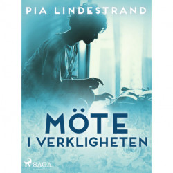 Möte i verkligheten