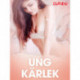 Ung kärlek - erotiska noveller