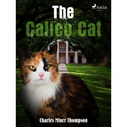 The Calico Cat