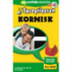 Kornisk, kursus for børn