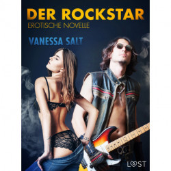 Der Rockstar: Erotische Novelle