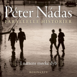 Parallelle historier 2: I nattens mørke dyb