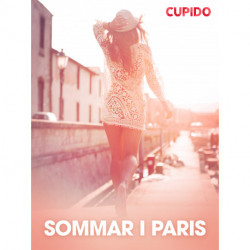 Sommar i Paris - erotiska noveller