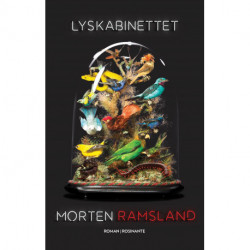 Lyskabinettet