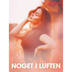 Noget i luften - erotiske noveller