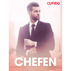 Chefen - erotiske noveller