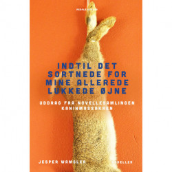 Indtil det sortnede for mine allerede lukkede øjne: Uddrag fra novellesamlingen KANINMASSAKREN