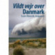 Vildt vejr over Danmark