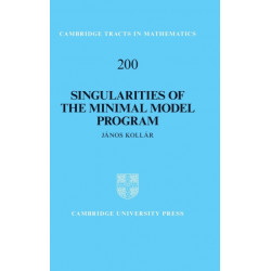 Singularities of the Minimal Model Program