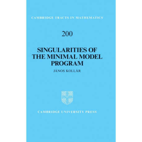 Singularities of the Minimal Model Program