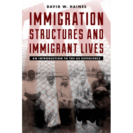 Immigration Structures and Immigrant Lives: An Introduction to the US Experience