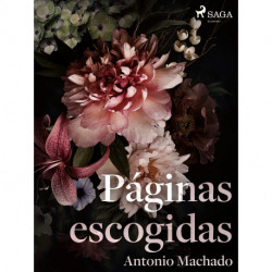 Páginas escogidas