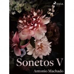 Sonetos V