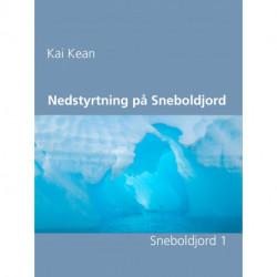 Nedstyrtning på Sneboldjord: Sneboldjord 1