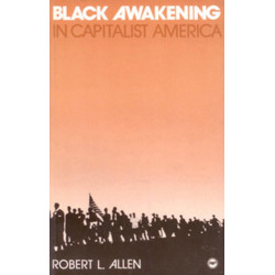 Black Awakening in Capitalist America: An Analytical History