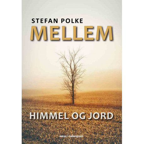 Mellem himmel og jord