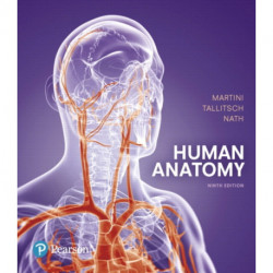 Human Anatomy
