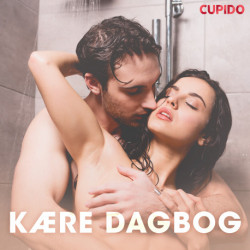 Kære dagbog – erotiske noveller