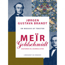 Meïr Goldschmidt. Digteren og journalisten