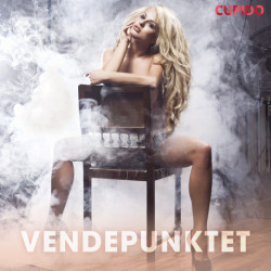 Vendepunktet – erotiske noveller