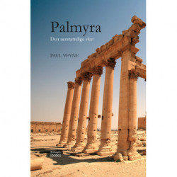 Palmyra illustreret: Den uerstattelige skat