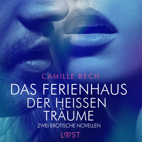 Das Ferienhaus der heißen Träume – zwei erotische Novellen