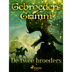 De twee broeders