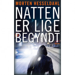 Natten er lige begyndt