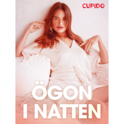 Ögon i natten - erotiska noveller