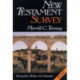 New Testament survey