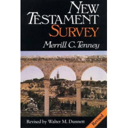 New Testament survey