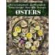 Østers