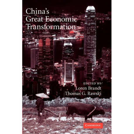 China's Great Economic Transformation