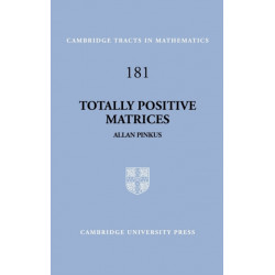 Totally Positive Matrices