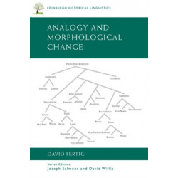 Analogy and Morphological Change