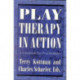 Play Therapy in Action: A Casebook for Practitioners