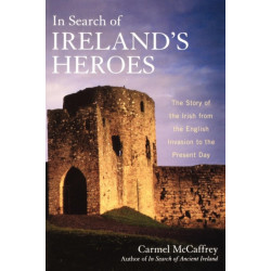 In Search of Ireland's Heroes: The Story of the Irish from the English Invasion to the Present Day