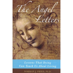 The Angel Letters: Lessons That Dying Can Teach Us About Living