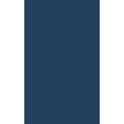 The Bourgeois Gentleman