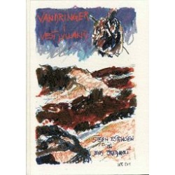 Vandringer i Vestjylland: natur og historie